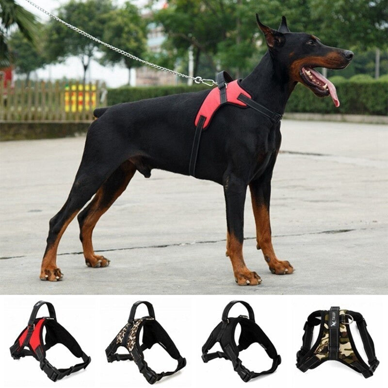 Arnes Para Mascotas Collar Ajustable Acolchado