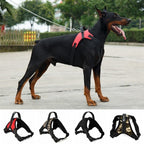 Arnes Para Mascotas Collar Ajustable Acolchado