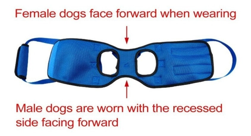 Arnés De Elevación Ajustable Para Perros Pierna Partrasera