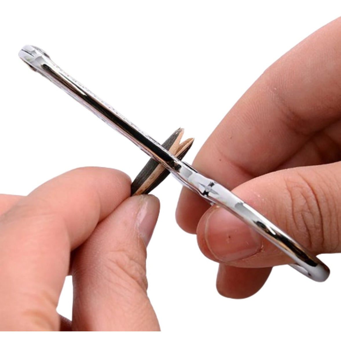 Alicates Para Semillas De Melón Girasol, Cascanueces, Nueces