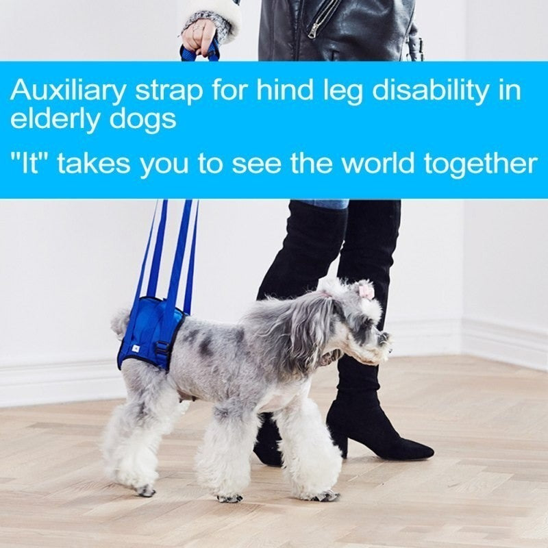 Arnés De Elevación Ajustable Para Perros Pierna Partrasera