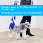 Arnés De Elevación Ajustable Para Perros Pierna Partrasera