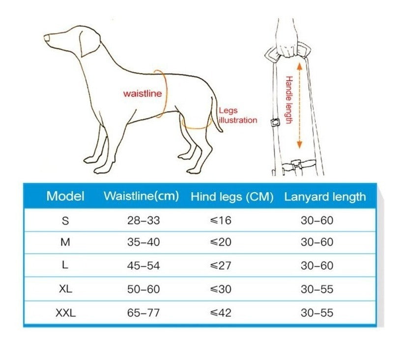Arnés De Elevación Ajustable Para Perros Pierna Partrasera